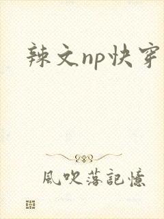 辣文np快穿