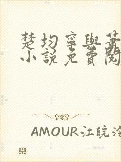 楚均宁与萧王的小说免费阅读全文封面