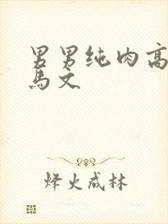 男男纯肉高h种马文