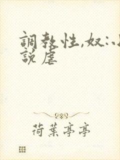 调教性,奴:小说虐