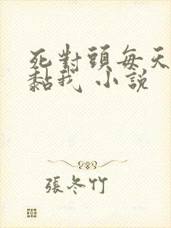 死对头每天都在黏我 小说