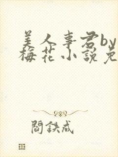 美人事君by小梅花小说免费阅读
