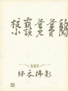 校霸爸爸的秘密小说免费阅读