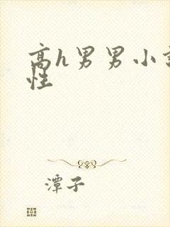 高h男男小说双性封面