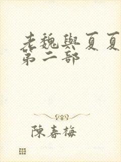 老魏与夏夏续集第二部