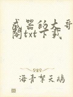 成器的大哥笔趣阁txt下载