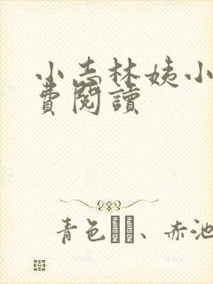 小志林姨小说免费阅读