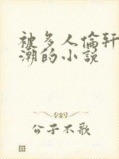 被多人伦轩到高潮的小说