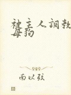 被主人调教的骚母狗