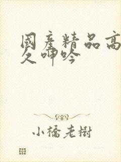 国产精品高潮久久呻吟