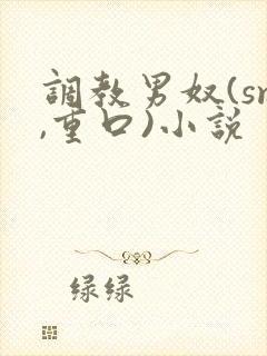 调教男奴(sm,重口)小说封面