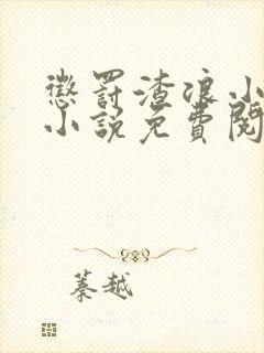 惩罚渣浪小美人小说免费阅读全文封面