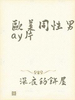 欧美同性男男gay片