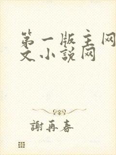 第一版主网站辣文小说网封面