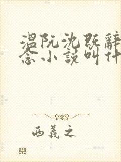 温阮沈既辞许念念小说叫什么