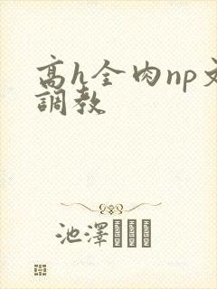 高h全肉np文调教