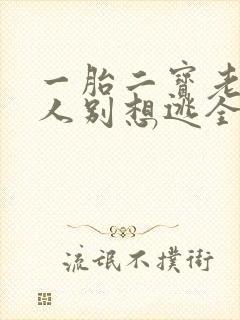 一胎二宝老婆大人别想逃全文免费阅读