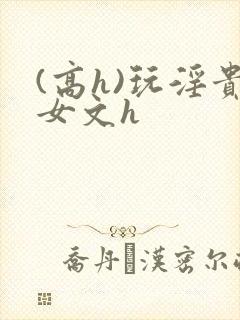 (高h)玩淫贵女文h