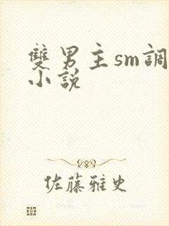 双男主sm调教小说封面