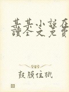 某某小说在线阅读全文免费