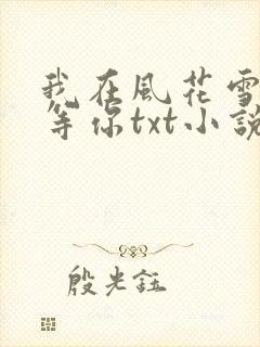 我在风花雪月里等你txt小说下载