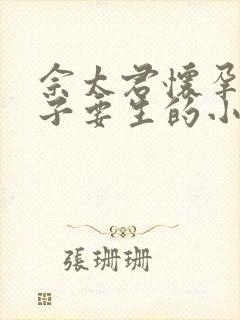 佘太君怀孕大肚子要生的小说