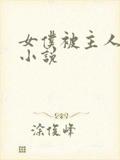 女仆被主人调教小说