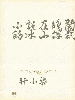 小说在线阅读我的冰山总裁老婆封面