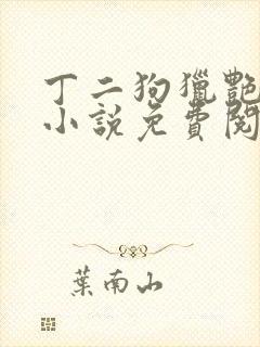 丁二狗猎艳人生小说免费阅读