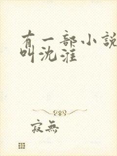 有一部小说主角叫沈淮