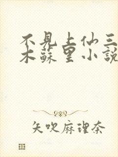 不见上仙三百年木苏里小说完结封面