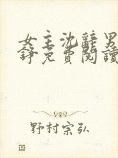 女主沈辞男主贺铮免费阅读封面