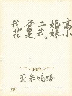 我爸二婚高冷校花是我妹小说