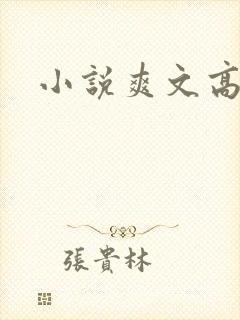 小说爽文高h