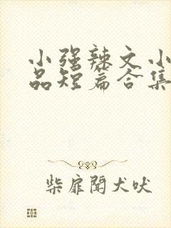 小强辣文小说精品短篇合集