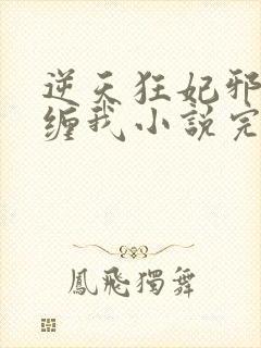 逆天狂妃邪王别缠我小说完整版本封面