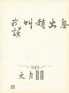 我叫赵出息 小说封面