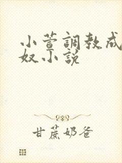 小萱调教成小尿奴小说封面