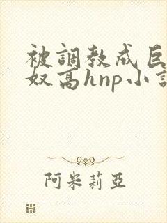 被调教成巨乳奶奴高hnp小说