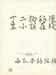 丁二狗的猎艳人生小说在线阅读