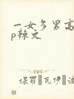 一女多男高hnp辣文