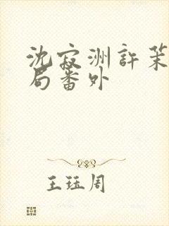 沈寂洲许茉大结局番外