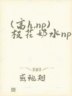 (高h,np)校花奶水np封面