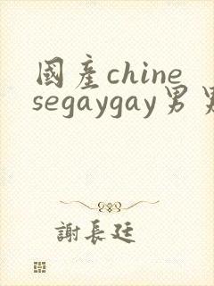国产chinesegaygay男男