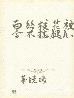 白丝校花被c得合不拢腿h小说