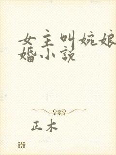女主叫婉娘的试婚小说封面