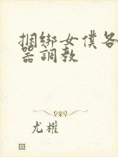 捆绑女仆各种性器调教