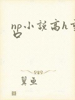 np小说高h重口