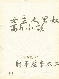 女主人男奴调教高h小说封面