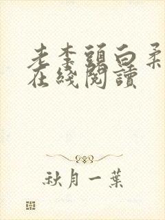 老李头白柔小说在线阅读